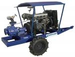Conjunto Motobomba MWM Série D 229 66cv